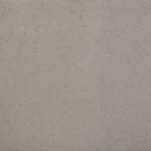 Fossil Nautilus 850 Slab