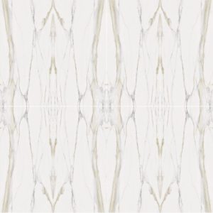 Calacatta Gold Comp