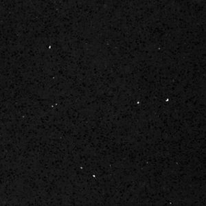 Negro Stellar