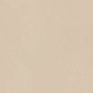 Solid.cream.matte.764624